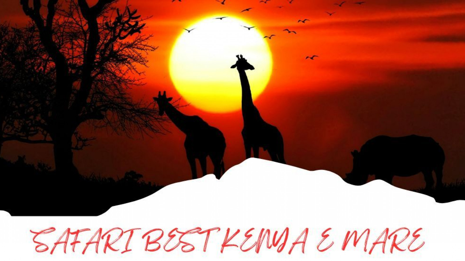 2025 africa best kenia e mare 25 IN35