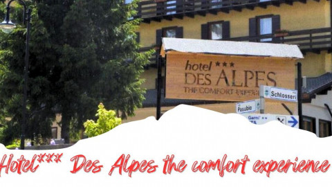 2025 trentino estate des alpes IN35
