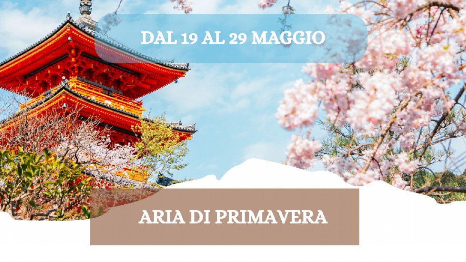 2026 W giappone aria di primavera 19 05 26 IN35