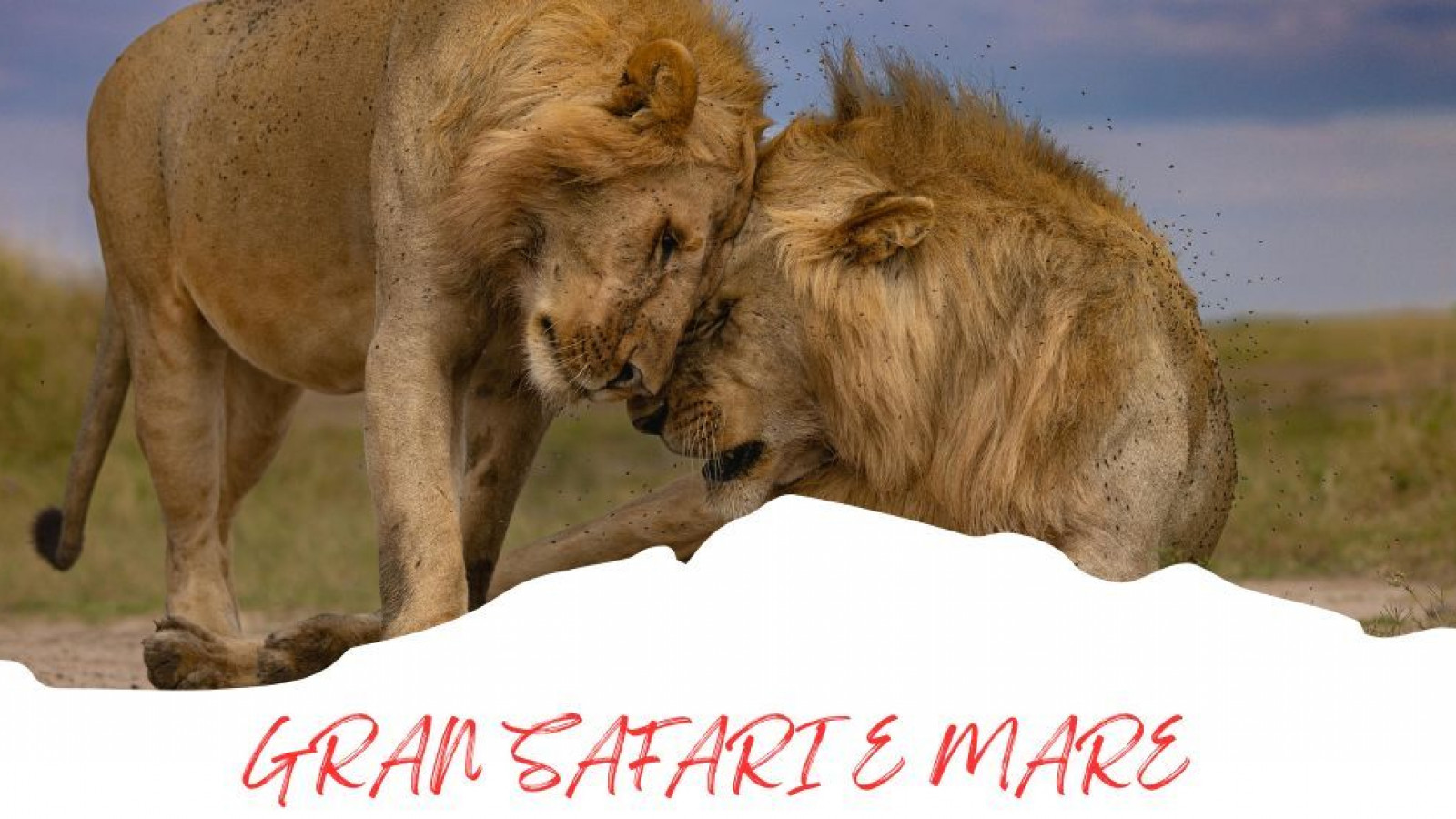 2025 africa gran safari e mare 25 IN35