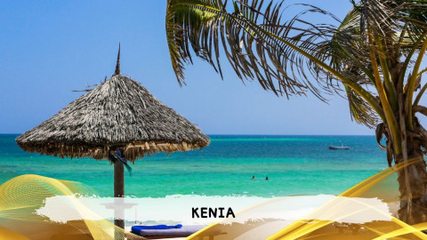 2026 kenya 9,14 08 T IN35