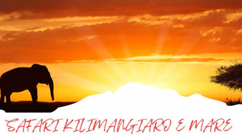 2025 africa kilimangiaro e mare 2025 IN35