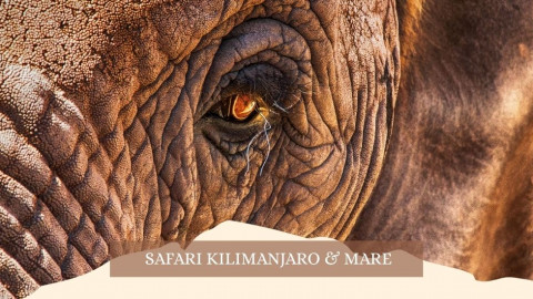 2025 africa kilimangiaro e mare gennaio marzo 2025 IN35