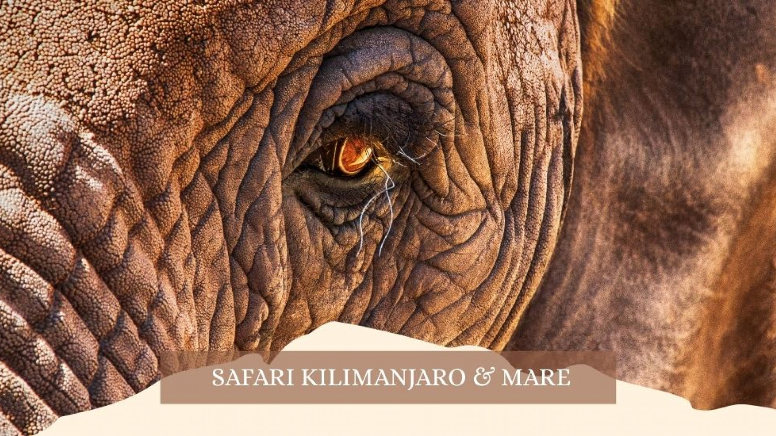 2025 africa kilimangiaro e mare gennaio marzo 2025 IN35