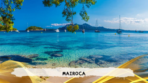 2026 maiorca 11 agosto napoli T IN35