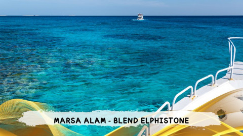 2026 marsa alam da roma blend T IN35