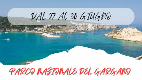 2025 W parco nazionale del gargano 27 06 25 IN35