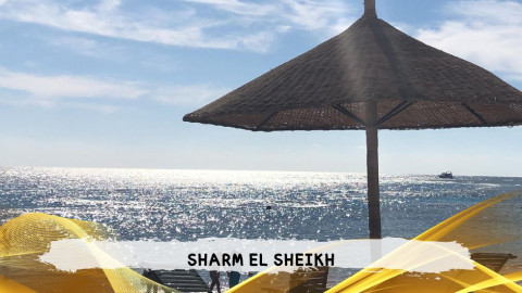 2026 sharm el sheikh da roma T IN35