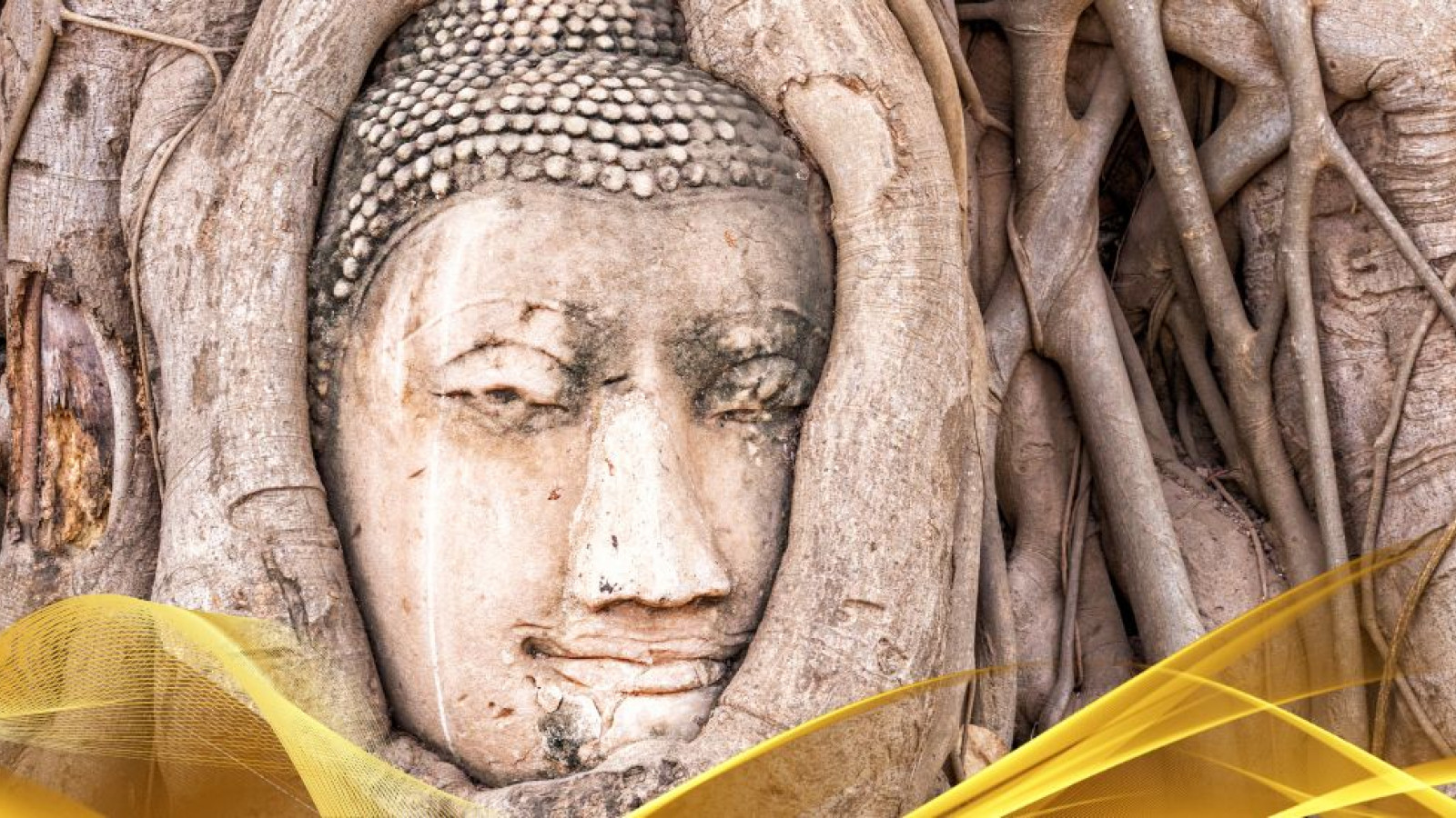 2026 thailandia antiche capitali 7 08 O IN35
