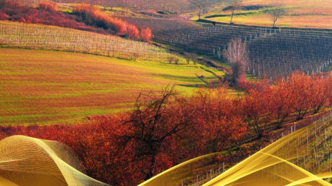 2026 W torino e le langhe 30 05 IN35