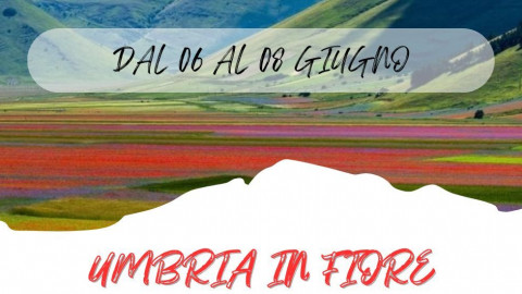 2025 W umbria in fiore 06 06 25 IN35