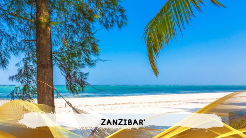 2026 zanzibar 11 08 T IN35